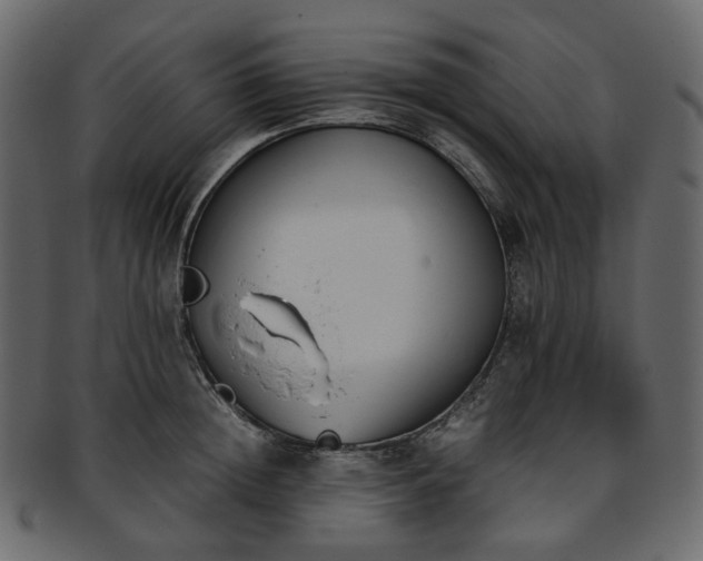 X0000093390852200710191152