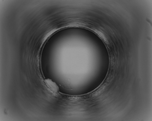 X0000093390854200710191152