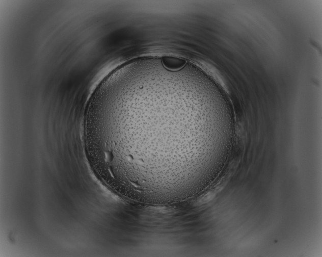 X0000093390855200710191152