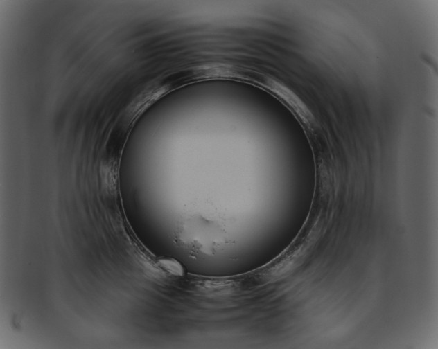 X0000093390857200710191152