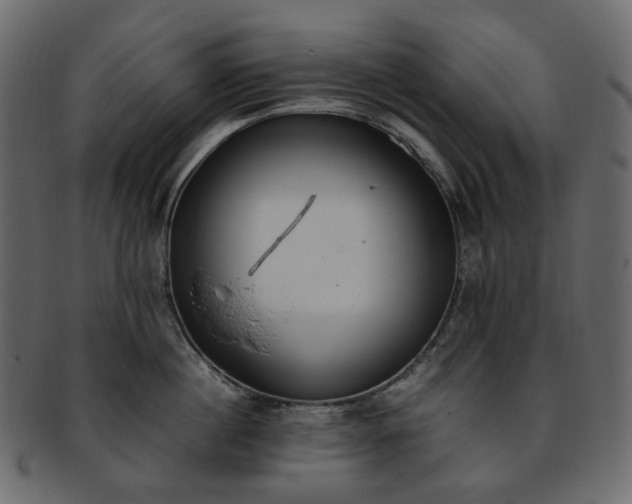 X0000093390860200710191152