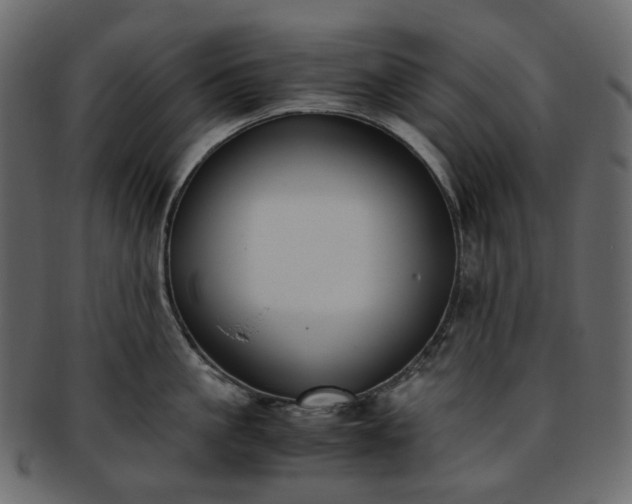 X0000093390861200710191152