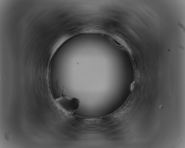 X0000093390863200710191152