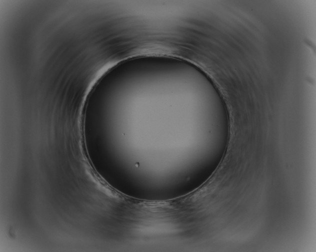 X0000093390864200710191152