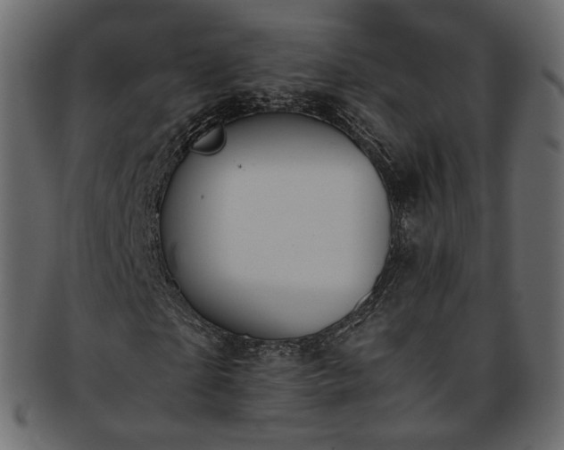 X0000093390865200710191152