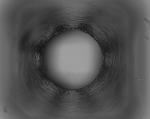 X0000093390866200710191152