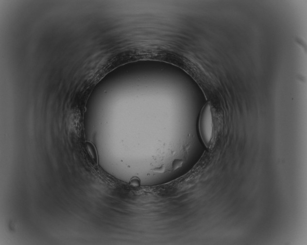 X0000093390867200710191152