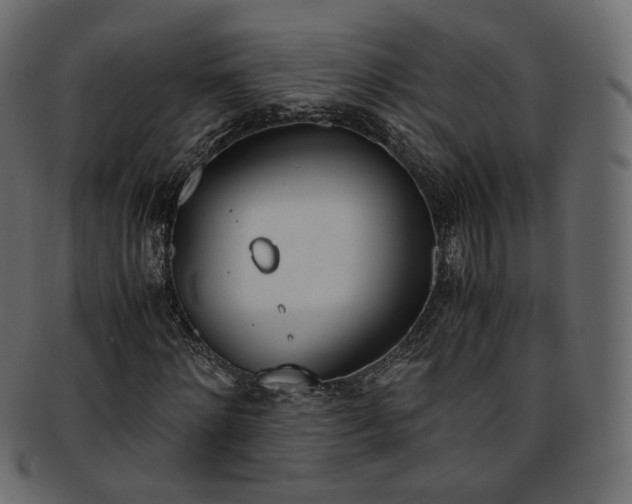 X0000093390868200710191152