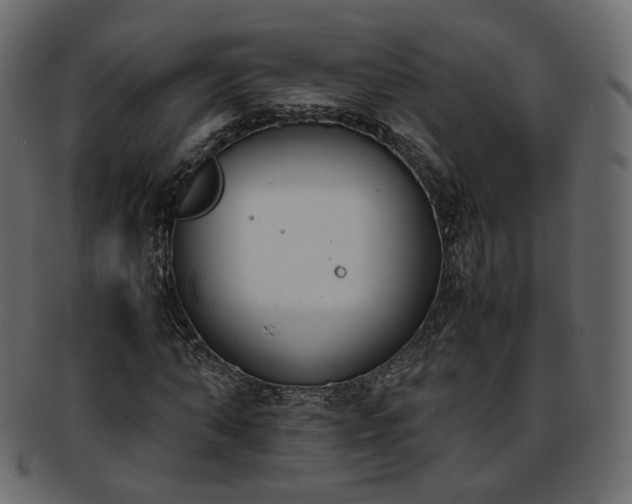 X0000093390870200710191152