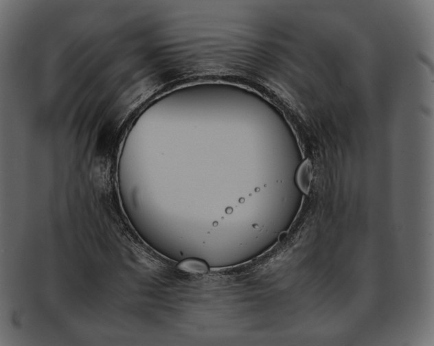 X0000093390873200710191152