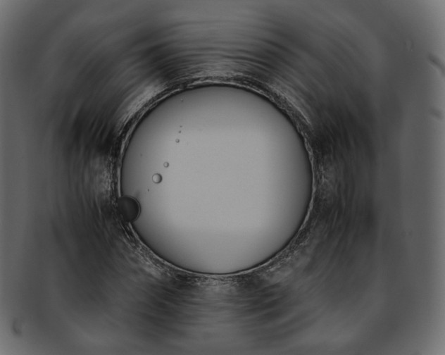 X0000093390874200710191152