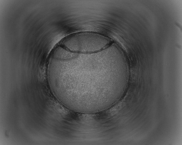 X0000093390875200710191152