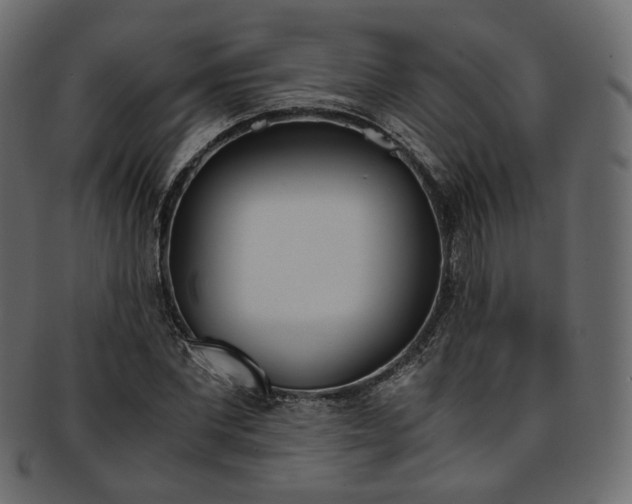 X0000093390877200710191152