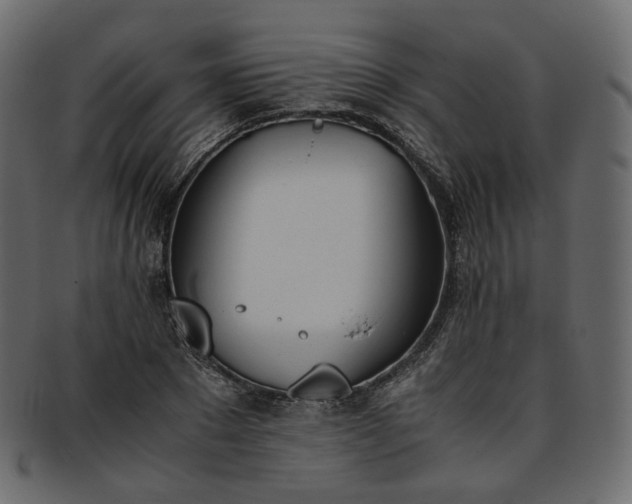 X0000093390881200710191152