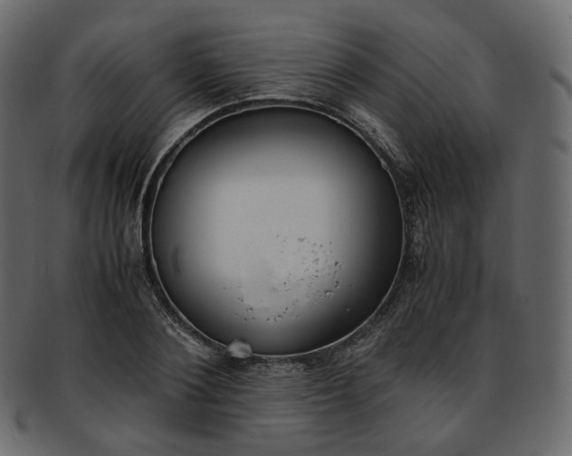 X0000093390884200710191152