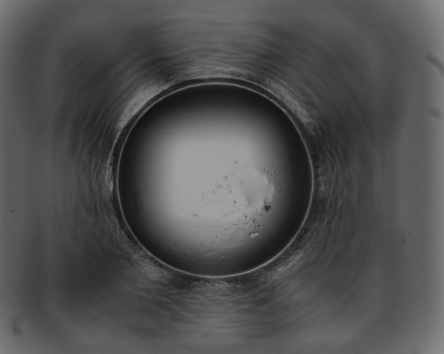 X0000093390885200710191152