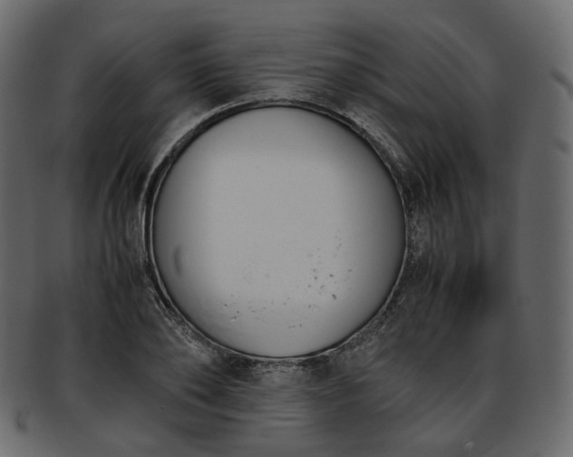 X0000093390886200710191152