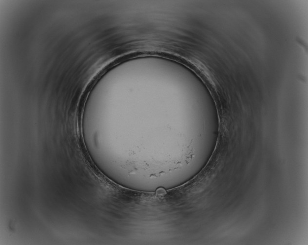 X0000093390887200710191152