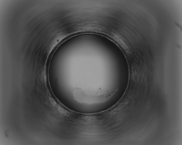 X0000093390888200710191152