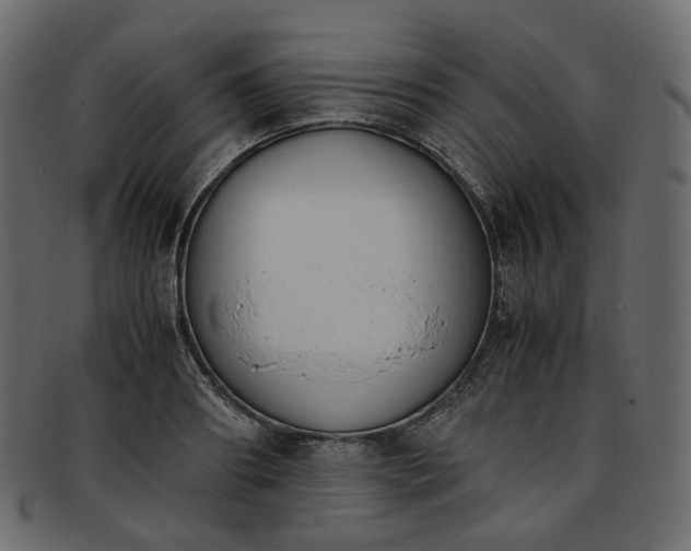 X0000093390890200710191152