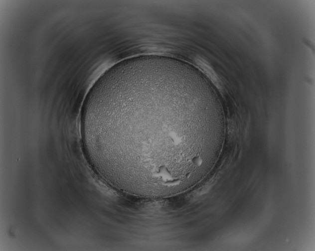 X0000093390891200710191152