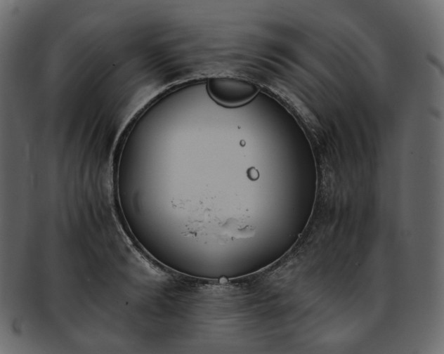 X0000093390894200710191151