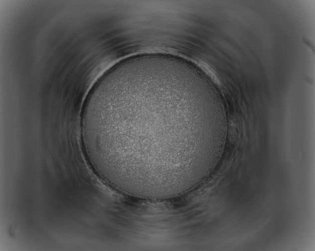 X0000093390895200710191151