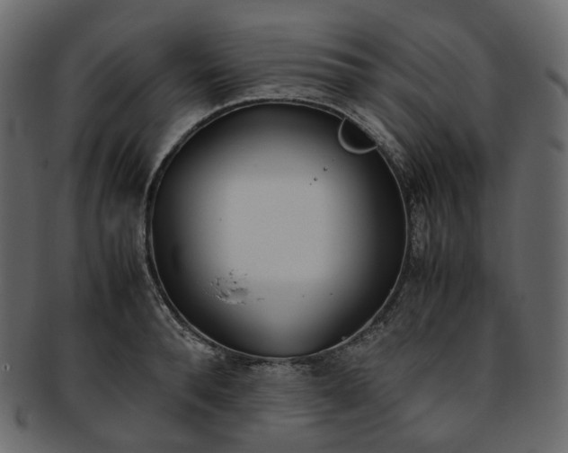 X0000093390896200710191151