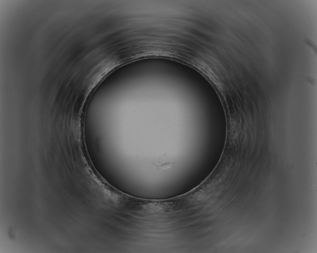 X0000093390898200710191151