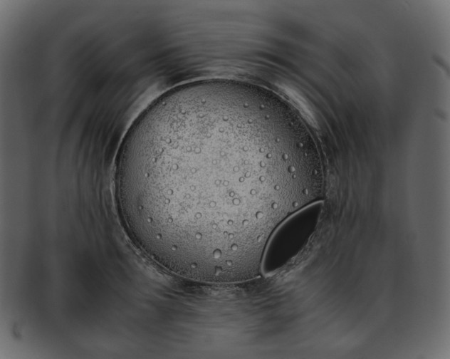 X0000093390899200710191151