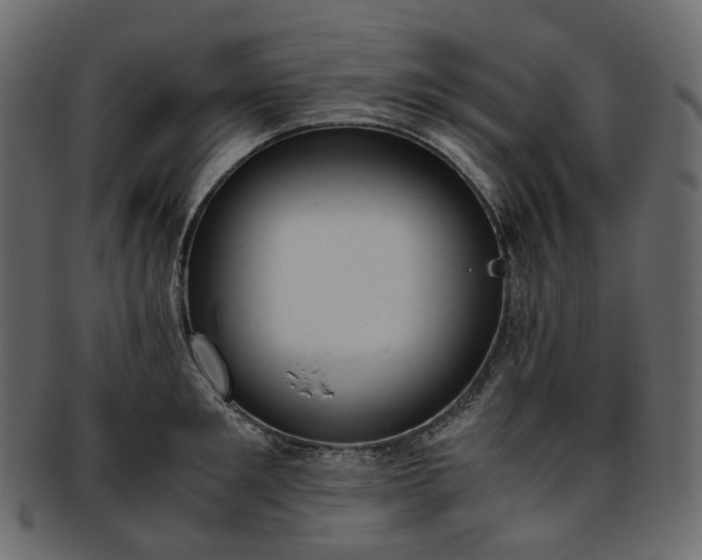 X0000093390901200710191151