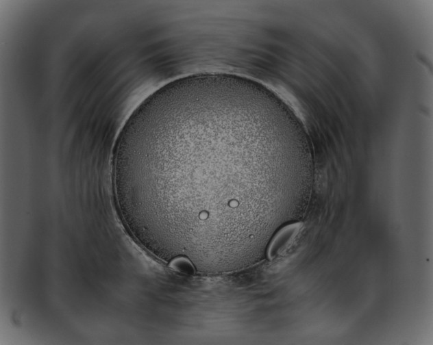 X0000093390903200710191151