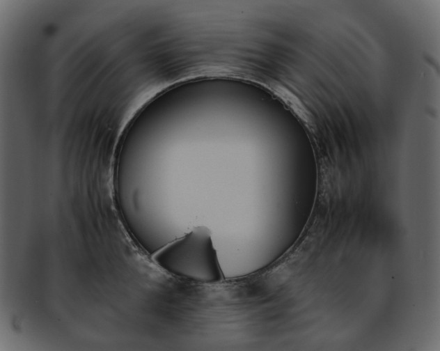 X0000093390904200710191151