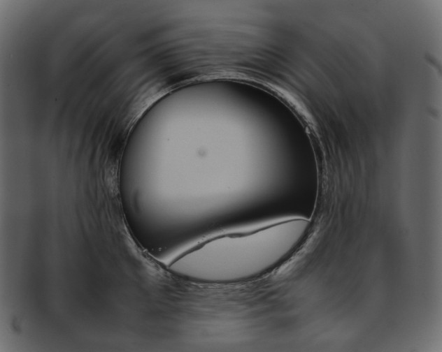 X0000093390905200710191151