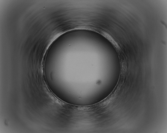 X0000093390908200710191151