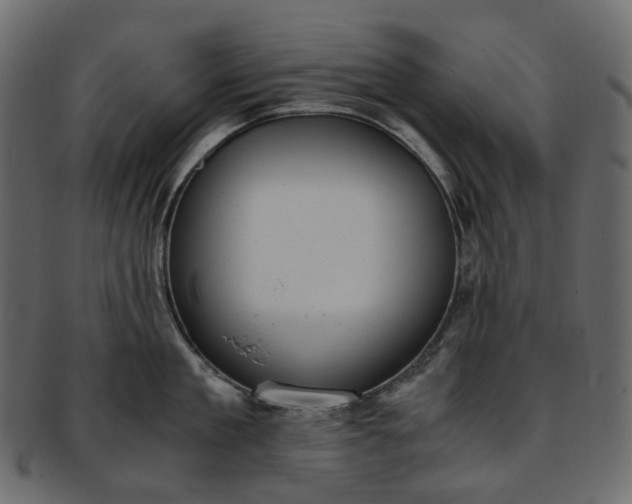 X0000093390909200710191151