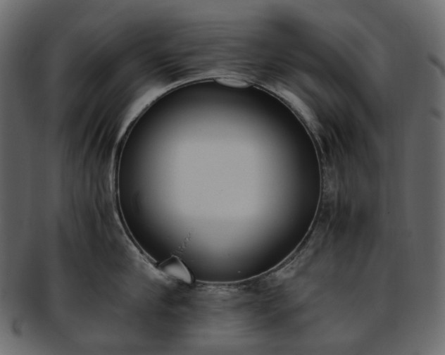 X0000093390910200710191151