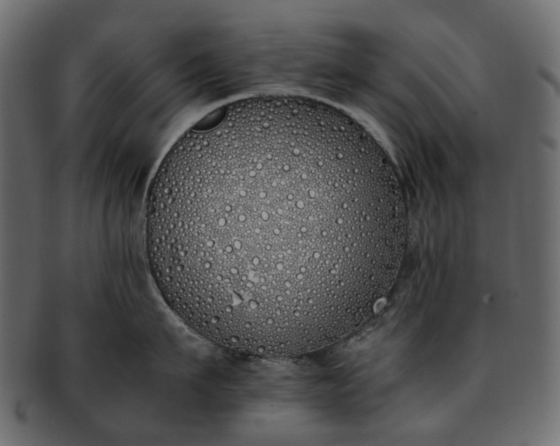 X0000093390911200710191151