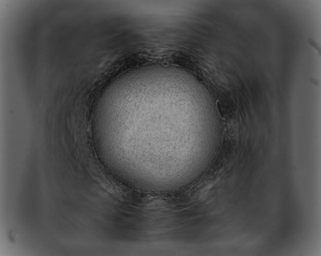 X0000093390913200710191151