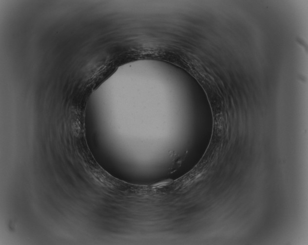 X0000093390916200710191151