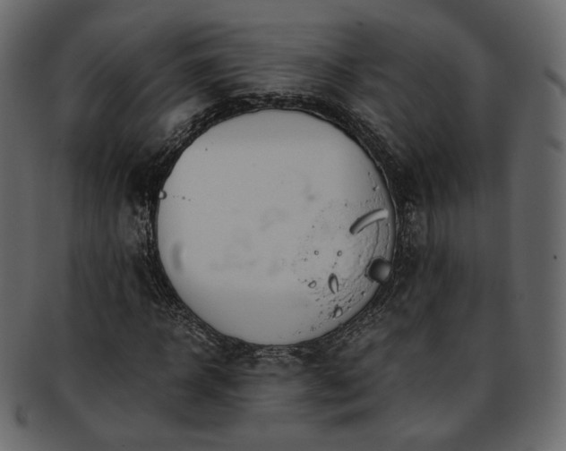 X0000093390918200710191151