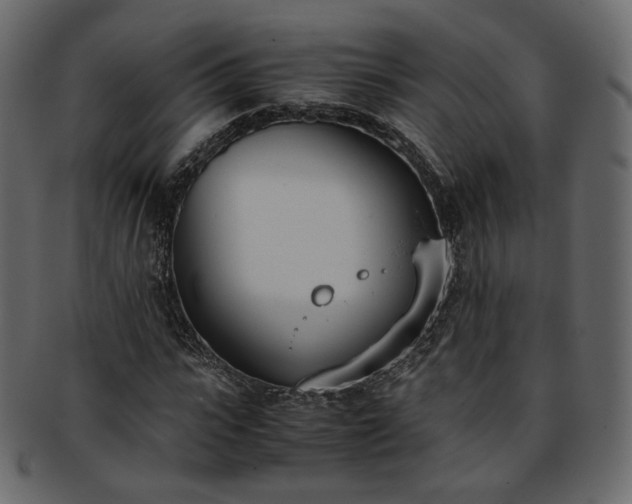 X0000093390919200710191151