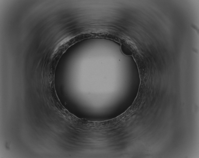 X0000093390920200710191151