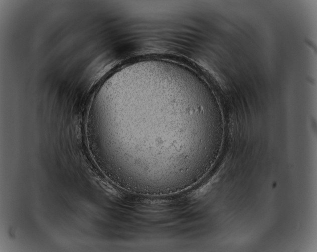 X0000093390921200710191151