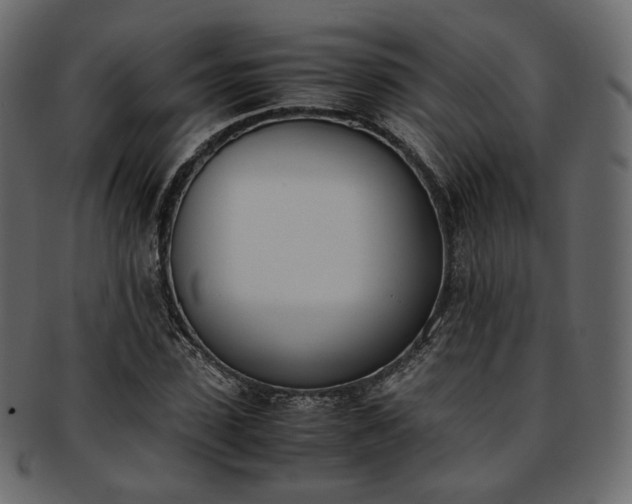 X0000093390923200710191151