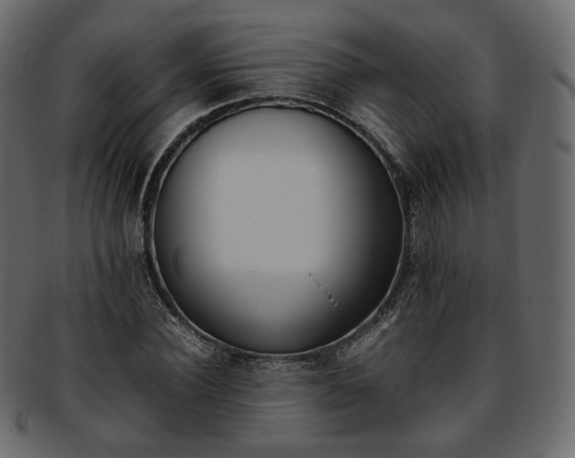 X0000093390924200710191151