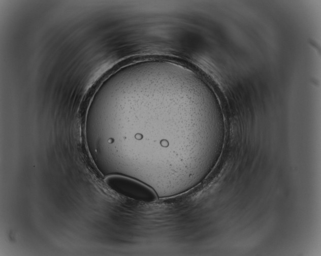 X0000093390925200710191151