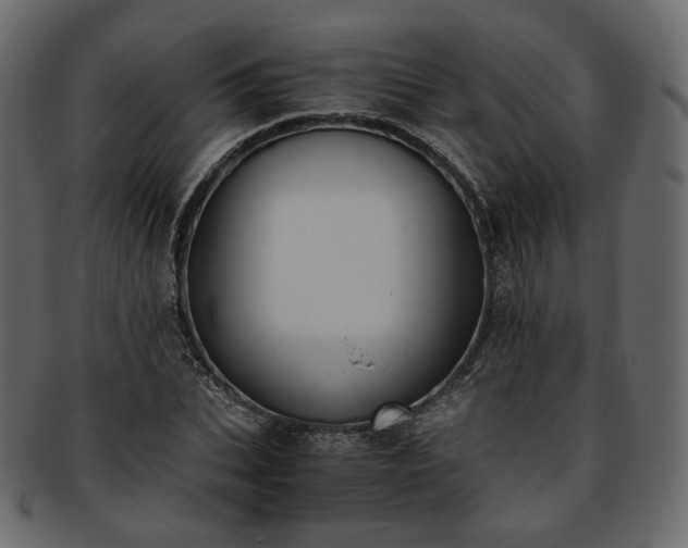 X0000093390927200710191151