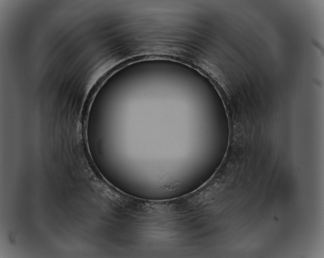 X0000093390928200710191151