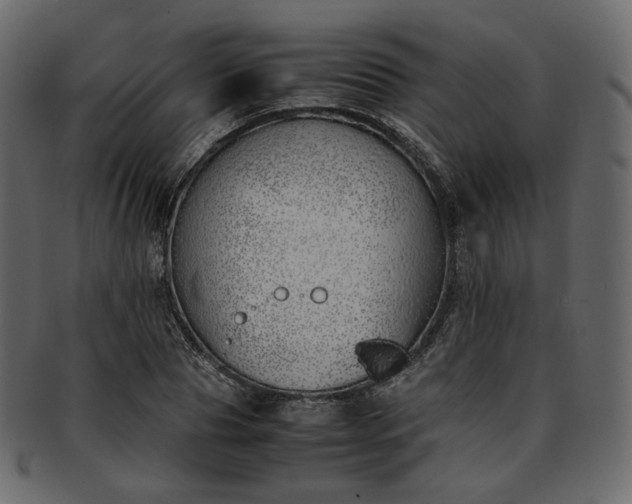 X0000093390929200710191151